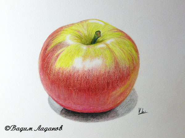 рисуем яблоко акварельными карандашами