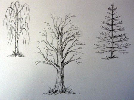 Как рисовать деревья простым карандашом — Уроки рисования карандашами и  пастелью