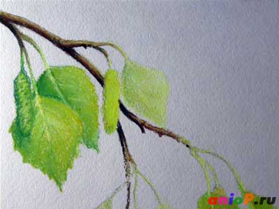 Рисуем ветви берёзы сухой пастелью — Уроки рисования карандашами и пастелью