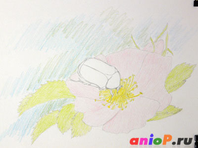 Рисуем жука на цветке шиповника