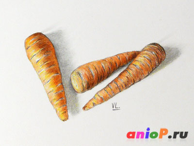 рисование моркови