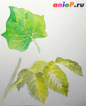 Листья акварелью