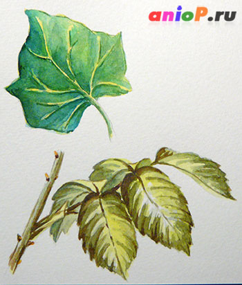 Листья акварелью