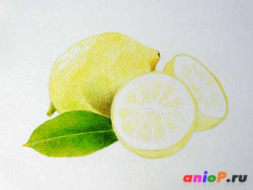 Рисунок лимона карандашами