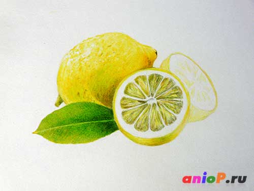Рисунок лимона карандашами