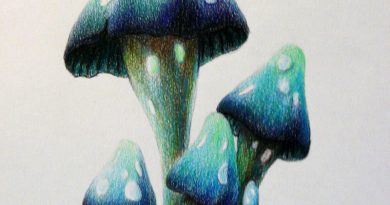 Как нарисовать акварельными карандашами фантастические грибы