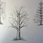Как рисовать деревья простым карандашом
