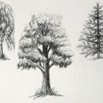 Как нарисовать листву деревьев