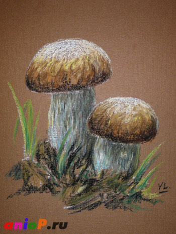 Рисуем белые грибы пастелью