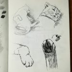 Наброски кота. #из_старых_рисунков #рисунки #скетч #карандаш #линер #рисование #наброски #кот #котэ #кошка #sketch #drawing