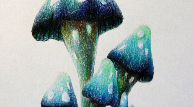Как нарисовать акварельными карандашами фантастические грибы